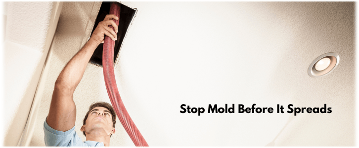 Air Duct Mold Removal in West Covina